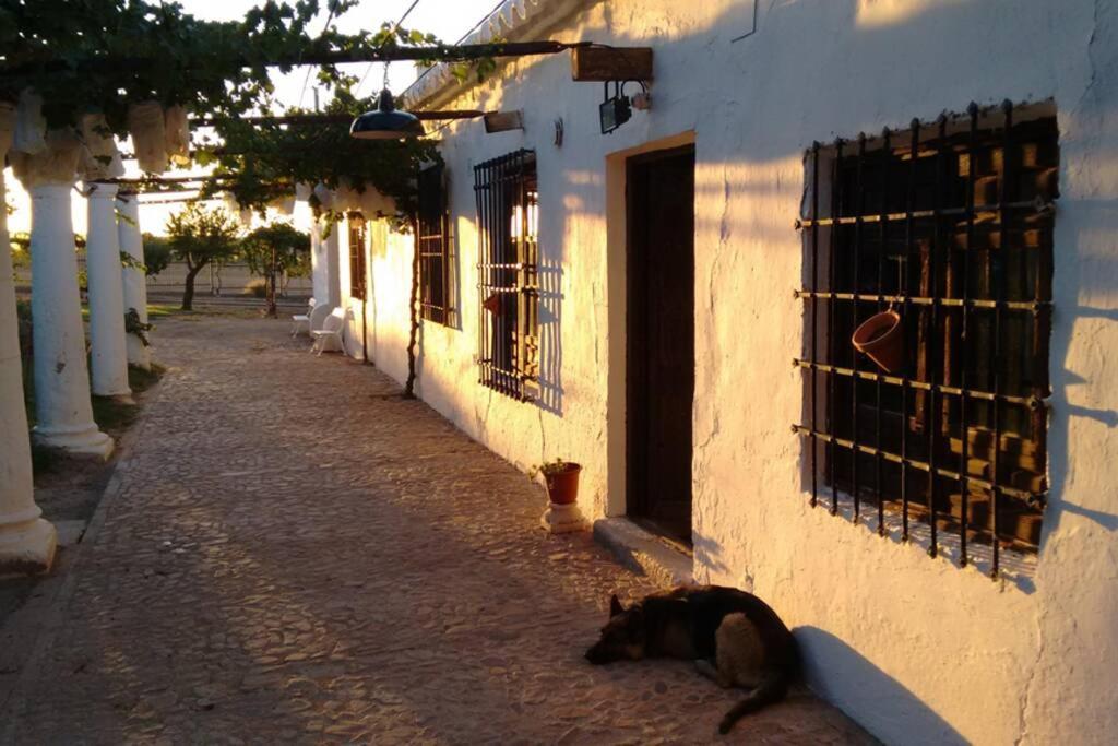 Casa El Carmen Villa Ciudad Real Exterior photo