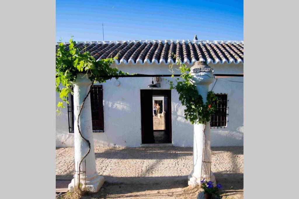 Casa El Carmen Villa Ciudad Real Exterior photo