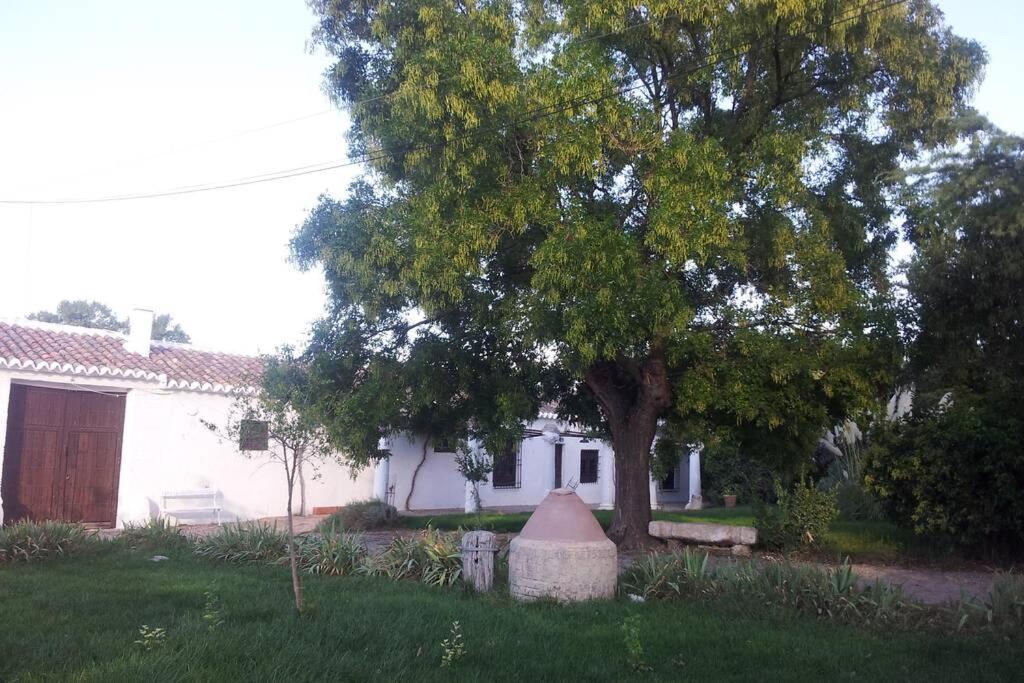 Casa El Carmen Villa Ciudad Real Exterior photo